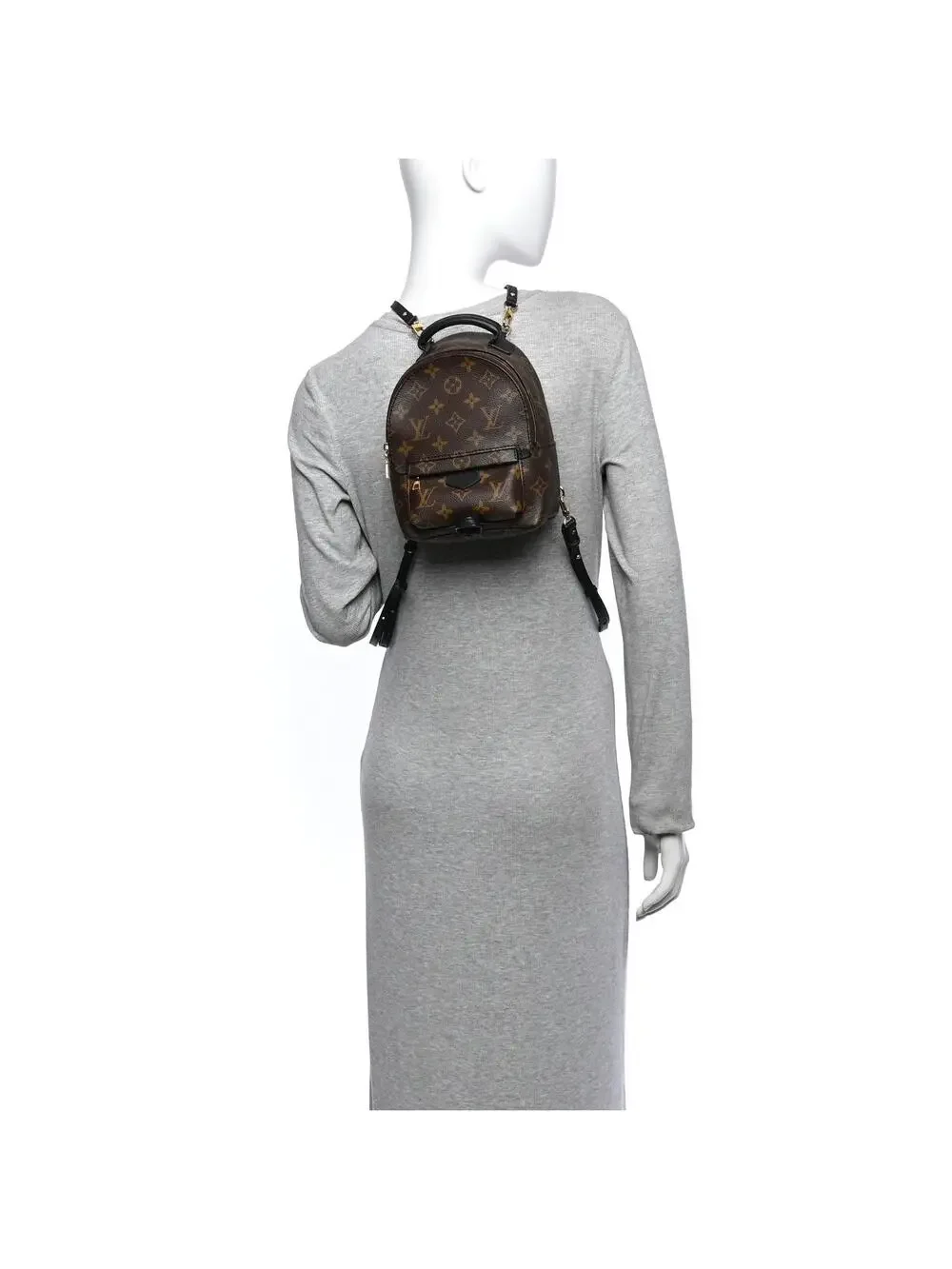 Louis Vuitton Palm Springs Backpack #321879L13B